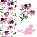 Template with seamless pattern, bouquets of pink echinacea flower and abstract pink spot. Hand drawn sketch. Design elemens.