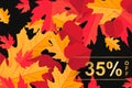 Template Season sale banner with fall autumn leaf