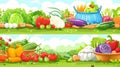 Template set featuring a cartoon modern illustration of colorful fresh vegetables, dairy and eggs against a green and Royalty Free Stock Photo