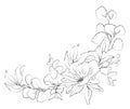 Botanical sketched floral bouquet. Line art hand drawn plant