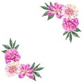 Template for text with beautiful peony. Frame or border with pink flowers with leaves. Realistic high quality botanical