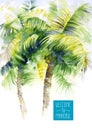 Template with vector watercolor palms