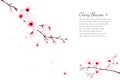 Template watercolor cherry blossom branches hand painted on white background