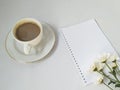 Template white flower on opened white book space for the text on white background Royalty Free Stock Photo