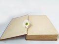 Template white flower on opened old book space for the text on white background Royalty Free Stock Photo