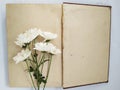 Template white flower on opened old book space for the text on white background Royalty Free Stock Photo