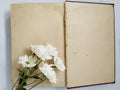 Template white flower on opened old book space for the text on white background Royalty Free Stock Photo