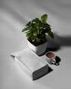 Template of a white pouch with shadows on the background, a cup of brewed coffee, an arabica tree in a pot Royalty Free Stock Photo