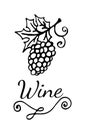 Template wine emblem with garden-stuffs and leaves of vine