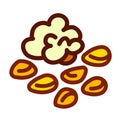 Pop corn kernels colored vector icon illustration Royalty Free Stock Photo