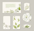 Templates design cards with white citrus flowers