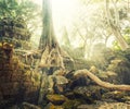 Temple in Angkor Thom, Cambodia Royalty Free Stock Photo