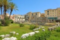 Temple of Apollo, ancient Greek monument in Ortigia, Syracuse, Sicily, Italy Royalty Free Stock Photo