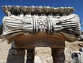 Temple of Apollo Didim Turkey