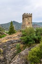 Temple of the 12 Apostles and Frederico Astagwera Tower