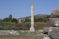 Temple of Artemis one of the seven wonder of the ancient world - Selcuk, Turkey . Storks nest in an old colony in the middle of a