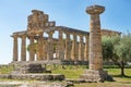 Temple of Athena Minerva in Poseidonia Paestum, Campania, Italy Royalty Free Stock Photo