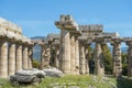 Temple of Athena Minerva in Poseidonia Paestum, Campania, Italy Royalty Free Stock Photo
