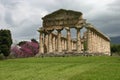 Temple of Athena in Paestum.