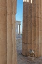 Temple of Athena from propylaea in the Acropolis, view of the columns of the temple. Vertical orientation