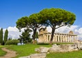 Temple of Ceres, Paestum Italy Royalty Free Stock Photo