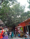 In temple compound market area where the people shop things