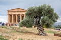 Temple of Concord Agrigento