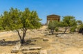 The Temple of Concordia with Olive trees in the foreground in the ancient Sicilian city of Agrigento Royalty Free Stock Photo