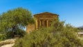 The Temple of Concordia viewed through surrounding trees in the ancient Sicilian city of Agrigento Royalty Free Stock Photo