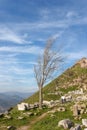 Temple of Dionysus view Royalty Free Stock Photo