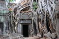 Temple doorway, Ankor Wat Royalty Free Stock Photo