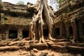 Temple doorway, Ankor Wat, Cambodia Royalty Free Stock Photo