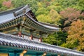 Temple Eaves against an Autumn Backdrop