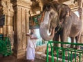 A temple elephant and her mahout in a Hindu temple in Tamil Nadu, India. Royalty Free Stock Photo