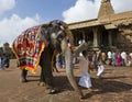 Temple Elephant - Thanjavur - India Royalty Free Stock Photo