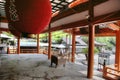 Temple entrance interior, Japan