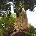 The Temple Expiatori de la Sagrada Familia and nature in Barcelona city, Spain Royalty Free Stock Photo