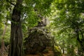 Temple face view through greena leaf and tree in rainy season