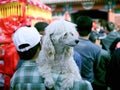 Temple fair, Celebratioin of Chinese New Year Royalty Free Stock Photo