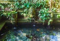 Temple Fountain in Monkey forest, Ubud, Bali Royalty Free Stock Photo