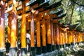 Temple of Fushimi Inari-taisia