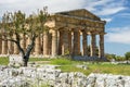 Second temple of Hera in Poseidonia Paestum, Campania, Italy Royalty Free Stock Photo