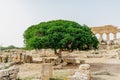 The Temple of Hera at Selinunte Archaeological Park,Sicily,Italy.Ruins of residential and commercial buildings in ancient Greek Royalty Free Stock Photo