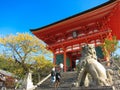 temple at japan Royalty Free Stock Photo