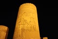 temple of Kom Ombo at night