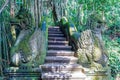 Temple ladder in Monkey forest, Ubud, Bali Royalty Free Stock Photo