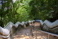Temple Naga Stairway