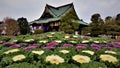 Temple in Narita Japan in the spring