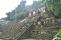 Temple at the old Maya city of Palenque, Mexico