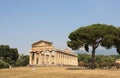 Temple paestum Royalty Free Stock Photo